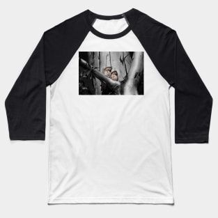 Tawny Frogmouth_6258A Baseball T-Shirt